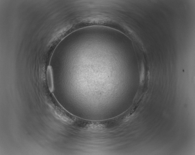 X0000078030403200611031543