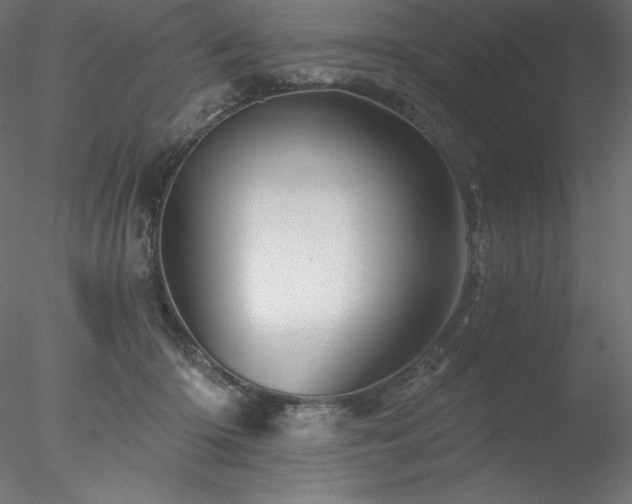 X0000078030414200611031543