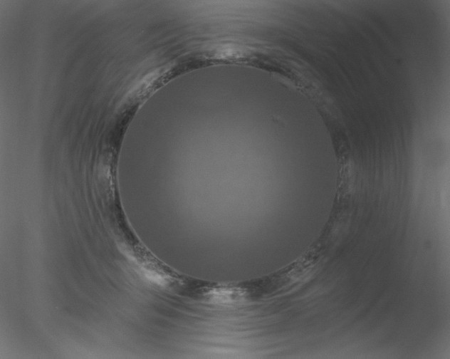 X0000078030415200611031543
