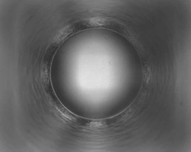 X0000078030418200611031543
