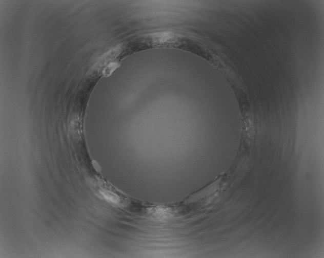 X0000078030419200611031543