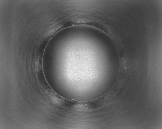 X0000078030422200611031542