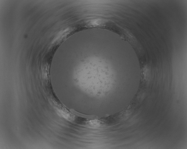 X0000078030423200611031542