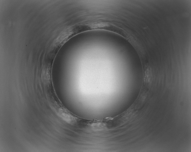 X0000078030426200611031542