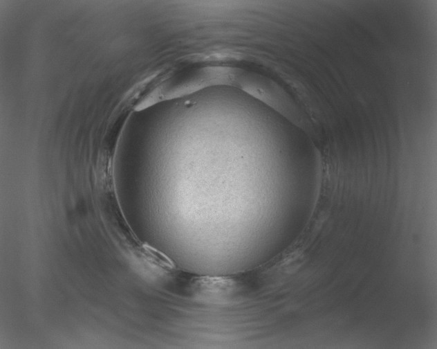 X0000078030429200611031542