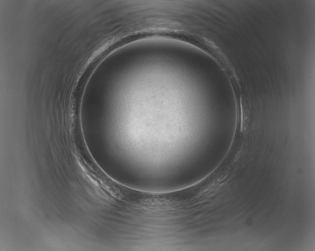 X0000078030435200611031542