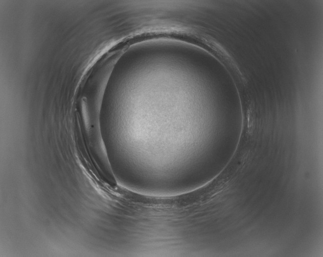 X0000078030436200611031542