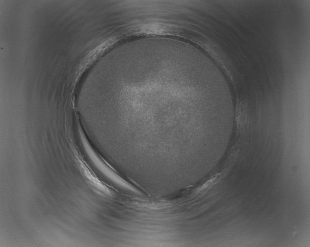 X0000078030445200611031542