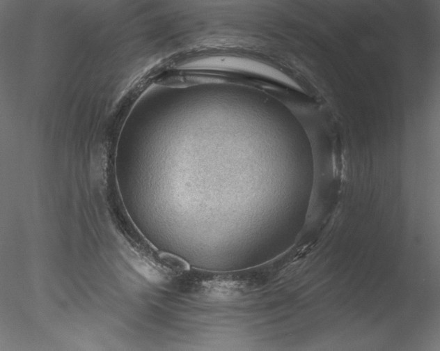 X0000078030448200611031542