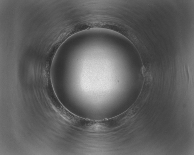 X0000078030460200611031542