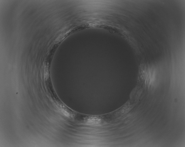 X0000078030471200611031542