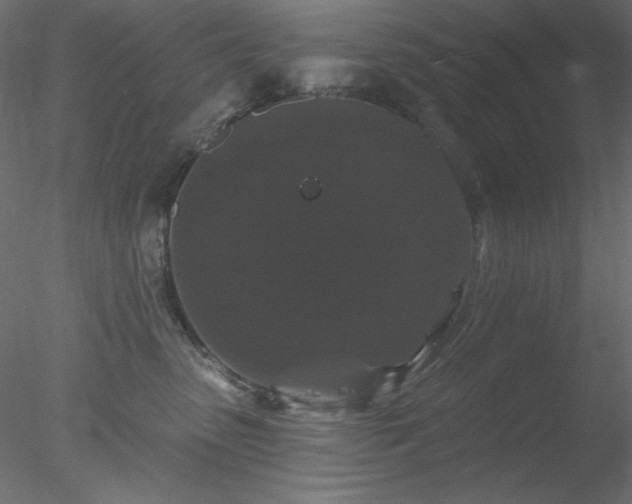X0000078030475200611031542