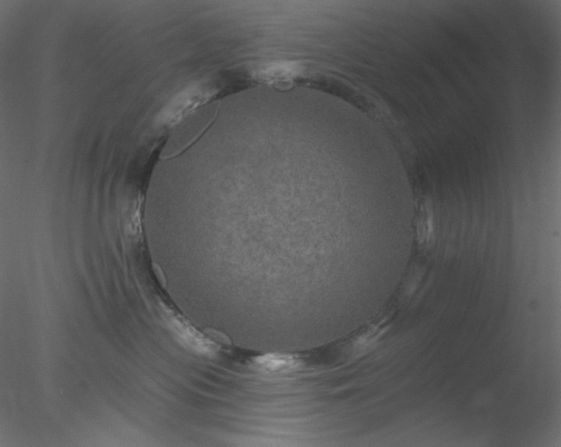 X0000078030477200611031542