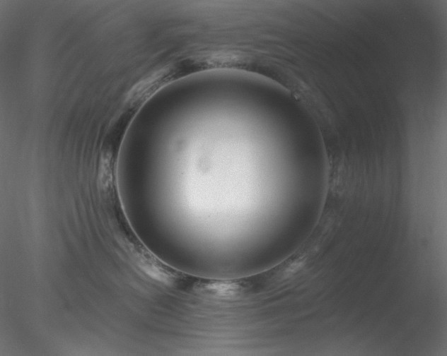 X0000078030478200611031542