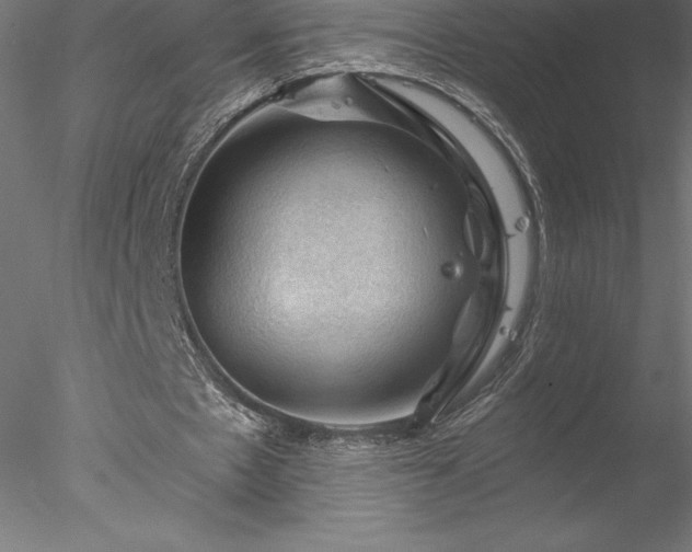 X0000078030481200611031541