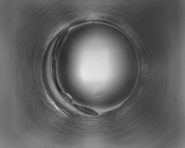 X0000078030485200611031541
