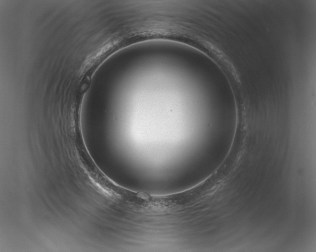 X0000078030489200611031541