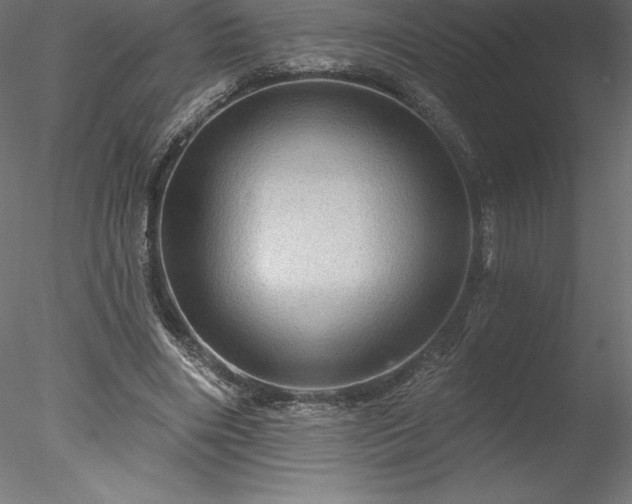 X0000078030490200611031541