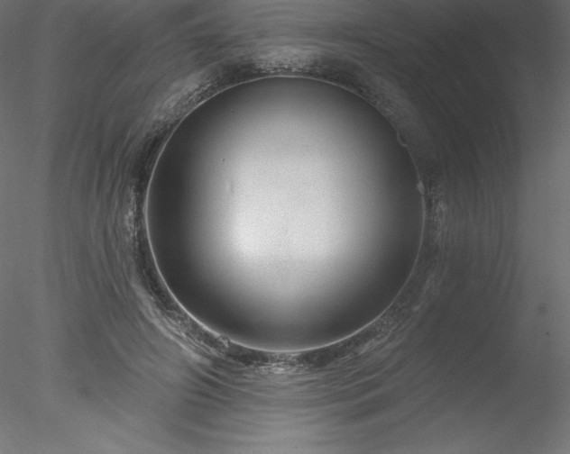 X0000078030498200611031541
