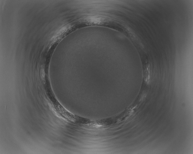X0000078030500200611031541