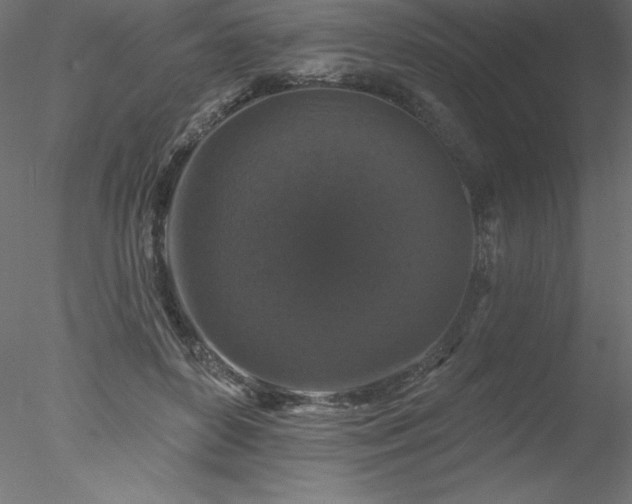 X0000078030504200611031541