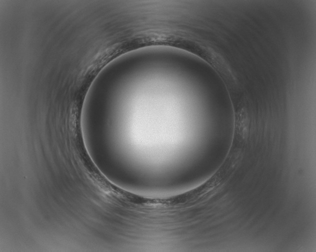 X0000078030509200611031541