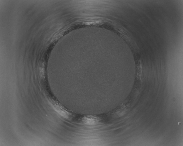 X0000078030510200611031541