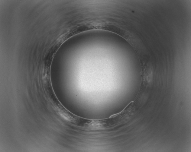 X0000078030518200611031541