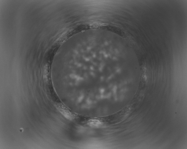 X0000078030519200611031541