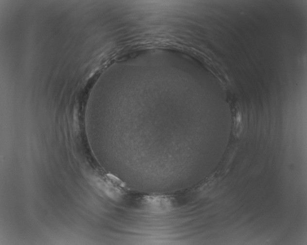 X0000078030520200611031541
