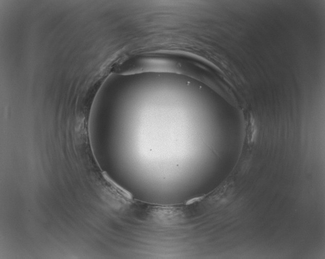 X0000078030521200611031541