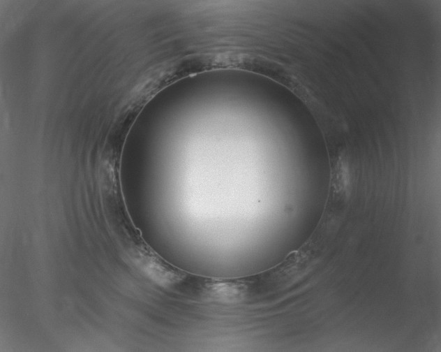 X0000078030522200611031541