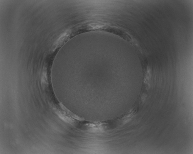 X0000078030524200611031541