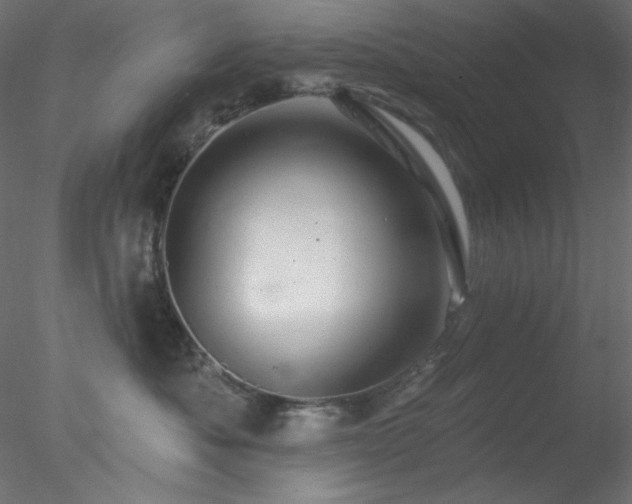 X0000078030525200611031541