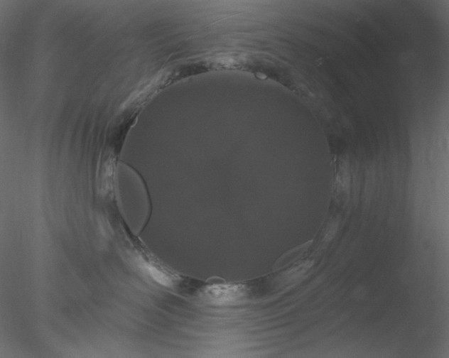 X0000078030526200611031541