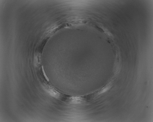 X0000078030528200611031541