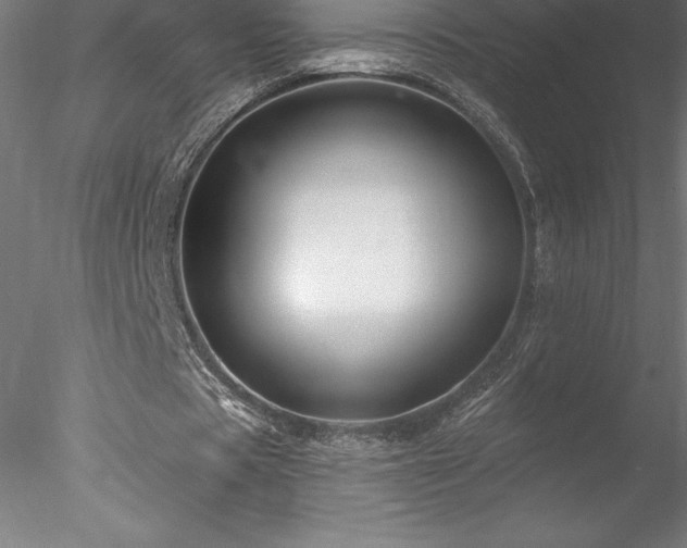 X0000078030529200611031540
