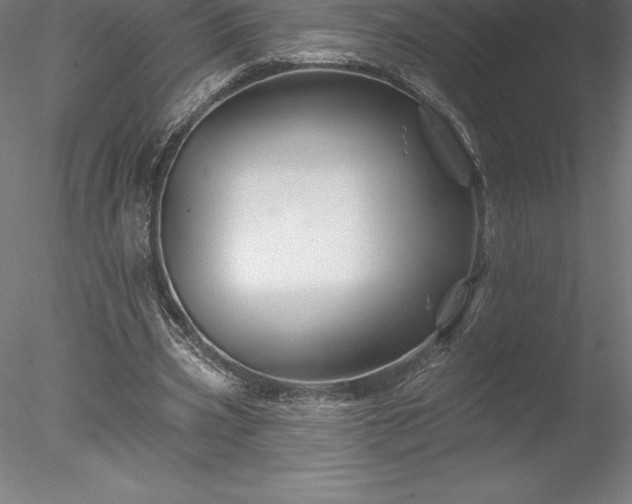 X0000078030533200611031540