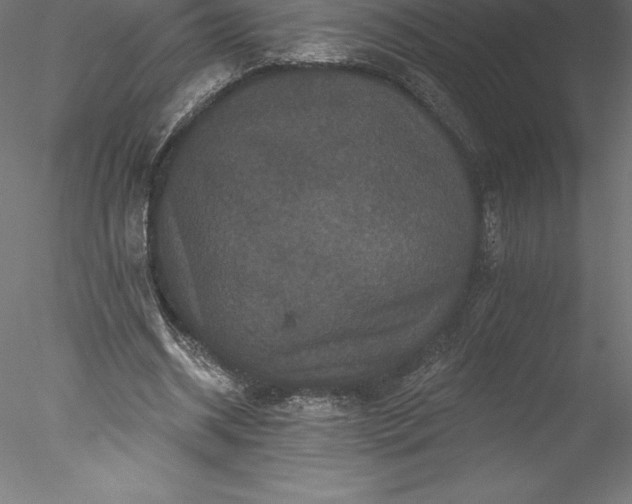 X0000078030534200611031540