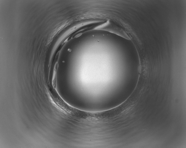 X0000078030538200611031540
