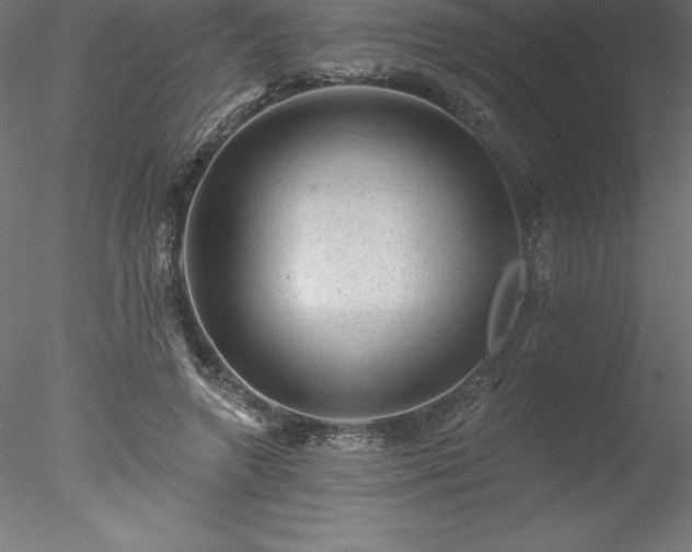 X0000078030546200611031540