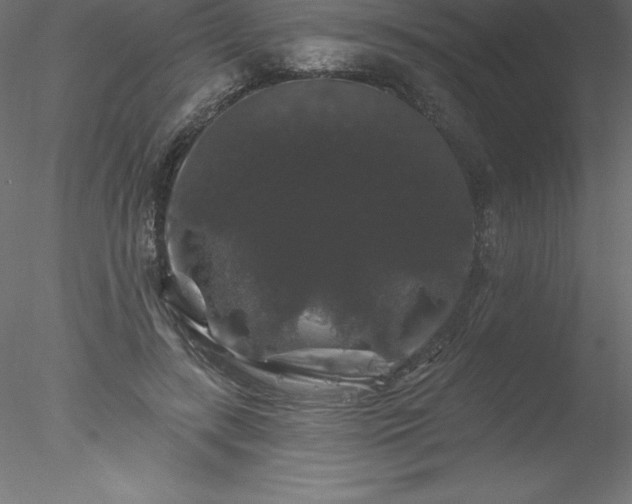 X0000078030547200611031540