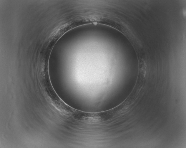 X0000078030548200611031540