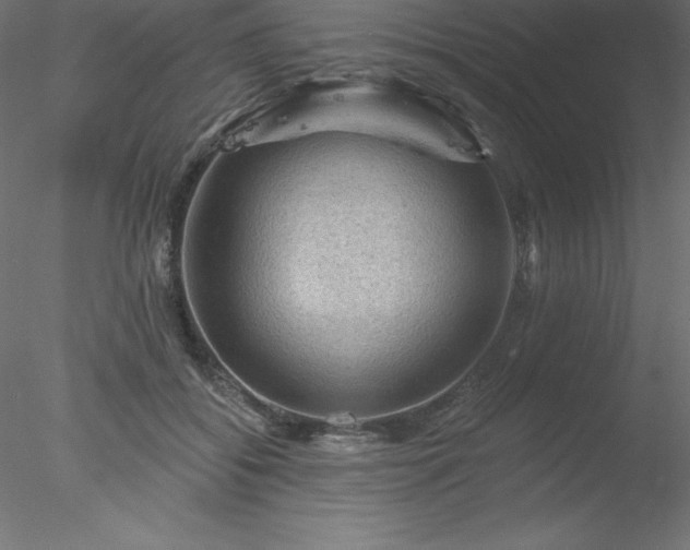 X0000078030556200611031540