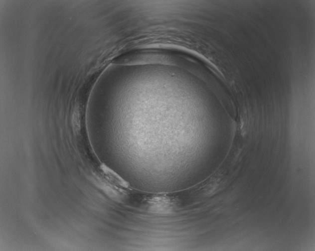 X0000078030562200611031540
