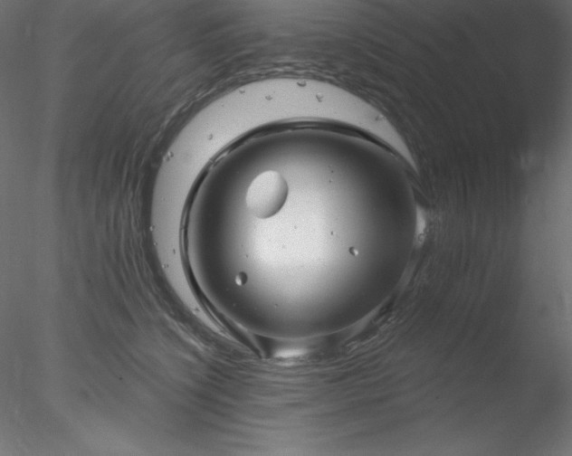 X0000078030564200611031540