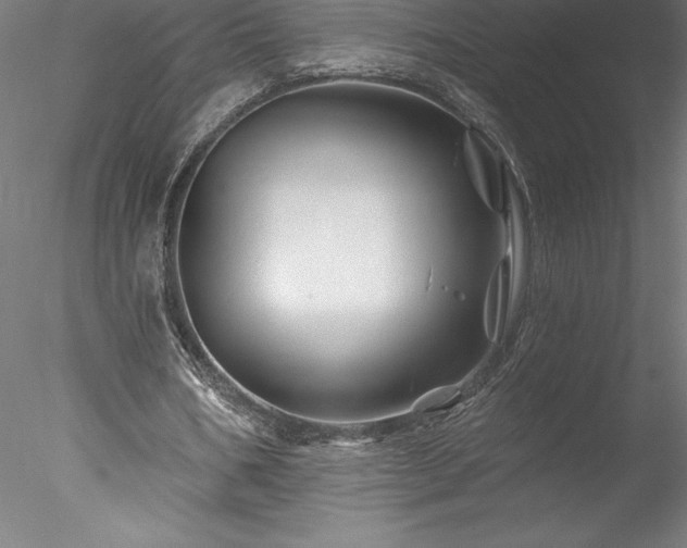 X0000078030578200611031540