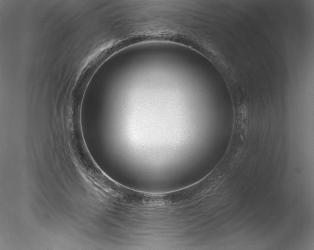 X0000078030587200611031540