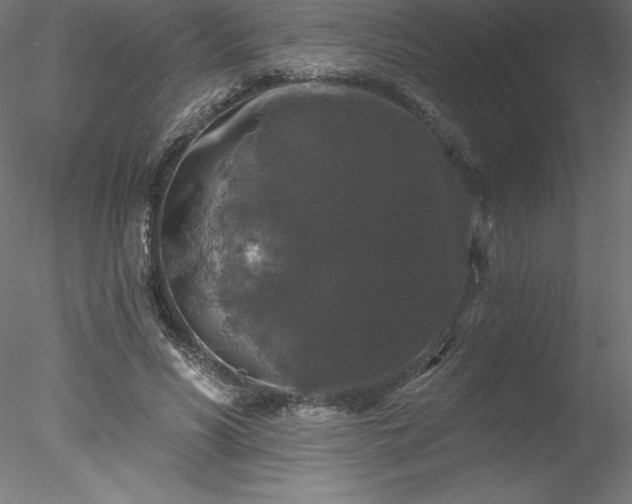 X0000078030590200611031540