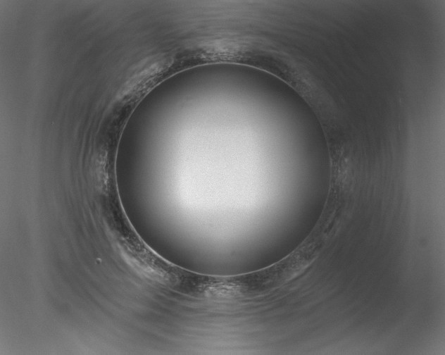 X0000078030599200611031539